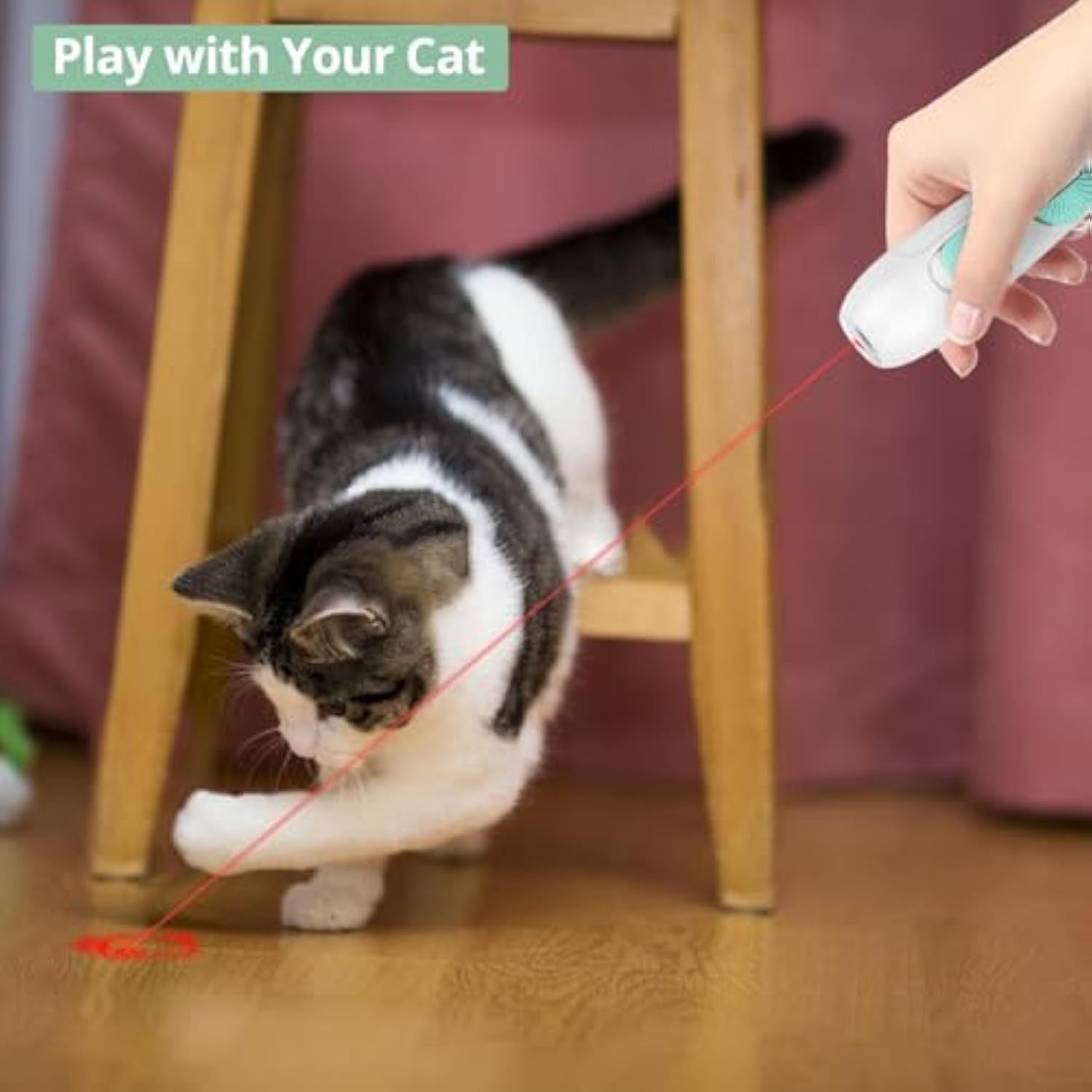 Interactive Cat Toy – Rechargeable Laser Pointer & Feather Wand, 2-in-1 Play Toy for Indoor Cats & Kittens
